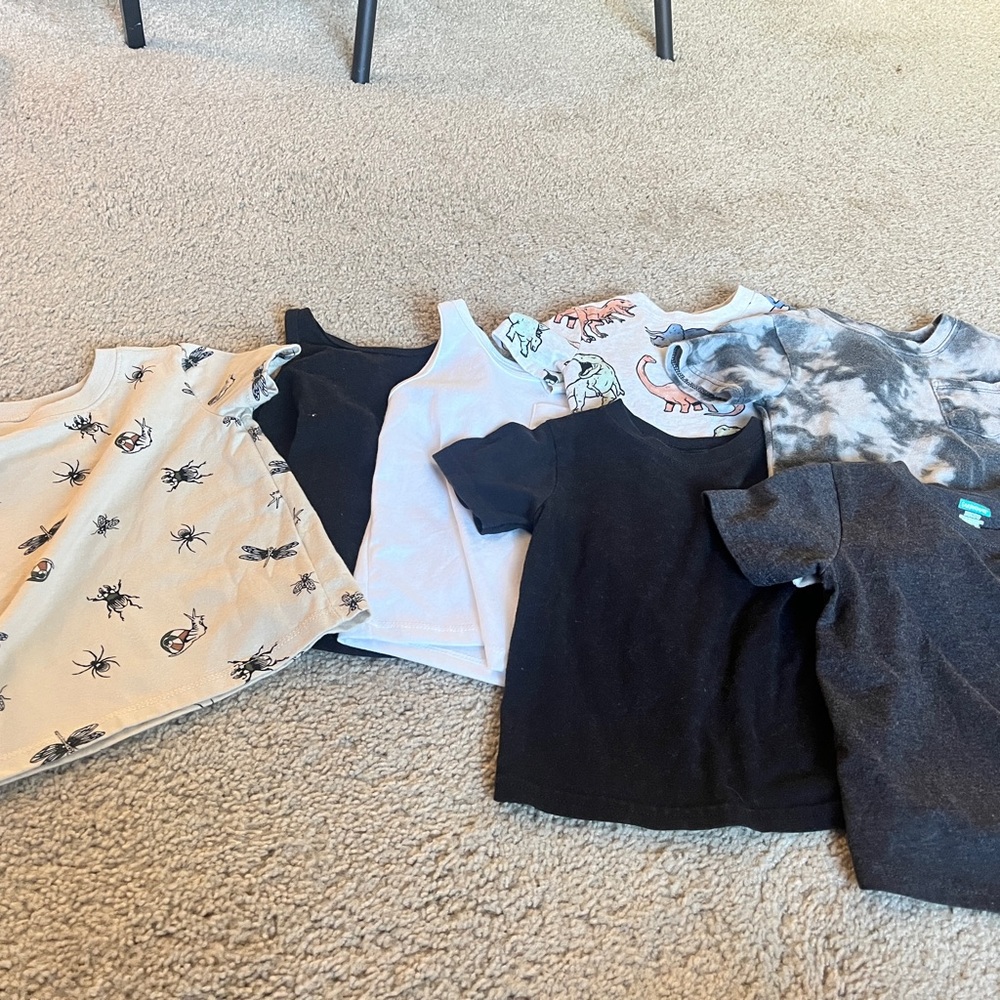 2t boys shirts